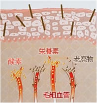 Step2(当日~2日目)