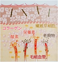Step3(3~4日目)